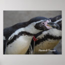 Search for flightless bird posters Animals