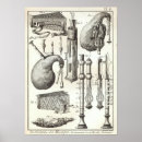 Search for wind instruments posters Vintage