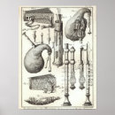 Search for bagpipe art Vintage
