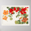 Search for vintage japanese flower posters Red