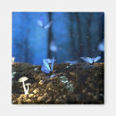 Search for magic mushroom magnets Nature