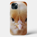 Search for baby chicken iphone cases Bird