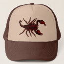 Search for arachnid hats Insect