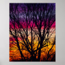 Search for silhouetted posters Sunset