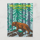 Search for yellowstone national park postcards Outdoor camping hiking