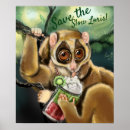 Search for lory posters Slow loris