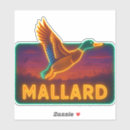 Search for mallards bumper stickers Wildlife
