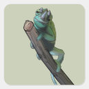 Search for cute chameleon stickers Reptile