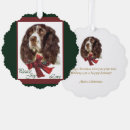Search for english springer spaniel christmas cards Pet