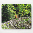 Search for peeking in mousepads Wildlife