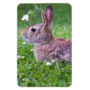Search for closeup magnets Photography