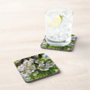 Search for apple coasters Orchard