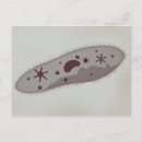 Search for microbiology postcards Organism