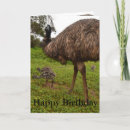 Search for emu birthday cards Australian