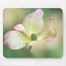 Search for dogwood mousepads Tree