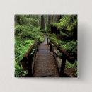 Search for forest path badges Tree