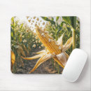 Search for kernels Food