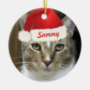 Search for santa paws christmas tree decorations Cat