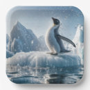 Search for penguin plates Arctic