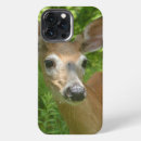 Search for white deer iphone cases Animals