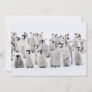 Search for baby chick thank you cards Animal