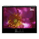 Search for crocus photography Plants