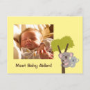 Search for koala baby postcards Australia