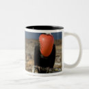 Search for galapagos islands mugs Wildlife