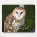 Search for the barn owl electronics Owls