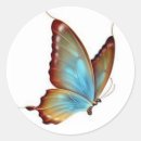 Search for swallowtail butterfly stickers Wildlife