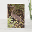 Search for under the trees cards Photography