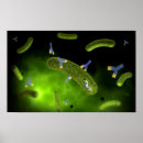 Search for biomolecules posters Medicine