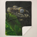Search for gecko blankets Cute