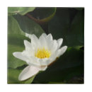 Search for white lotus tiles Flower