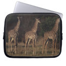 Search for horned laptop cases nature