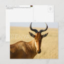 Search for masai mara postcards Africa