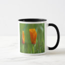 Search for golden poppy mugs Flower