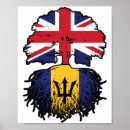 Search for barbados posters Barbadian