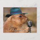 Search for prairie postcards Dog