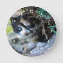 Search for calico kitten art Cute