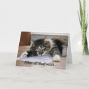 Search for nap cards Cat