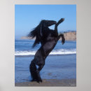 Search for friesian horse art Breed