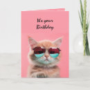 Search for fun cat birthday cards Animal