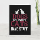 Search for cat meme cards Animal