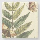 Search for butterfly coasters Black