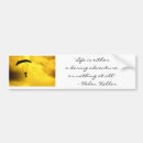 Search for adventures bumper stickers Life