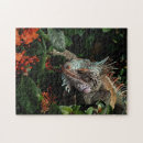 Search for reptile puzzles Animal