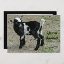 Search for baby goat invitations Kid