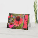 Search for cone flowers cards Echinacea