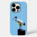 Search for bird blackberry iphone cases Chicken